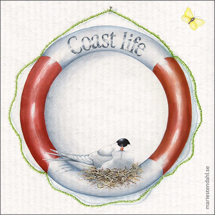 Coast Life Disktrasa